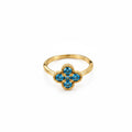 Anillo Ble