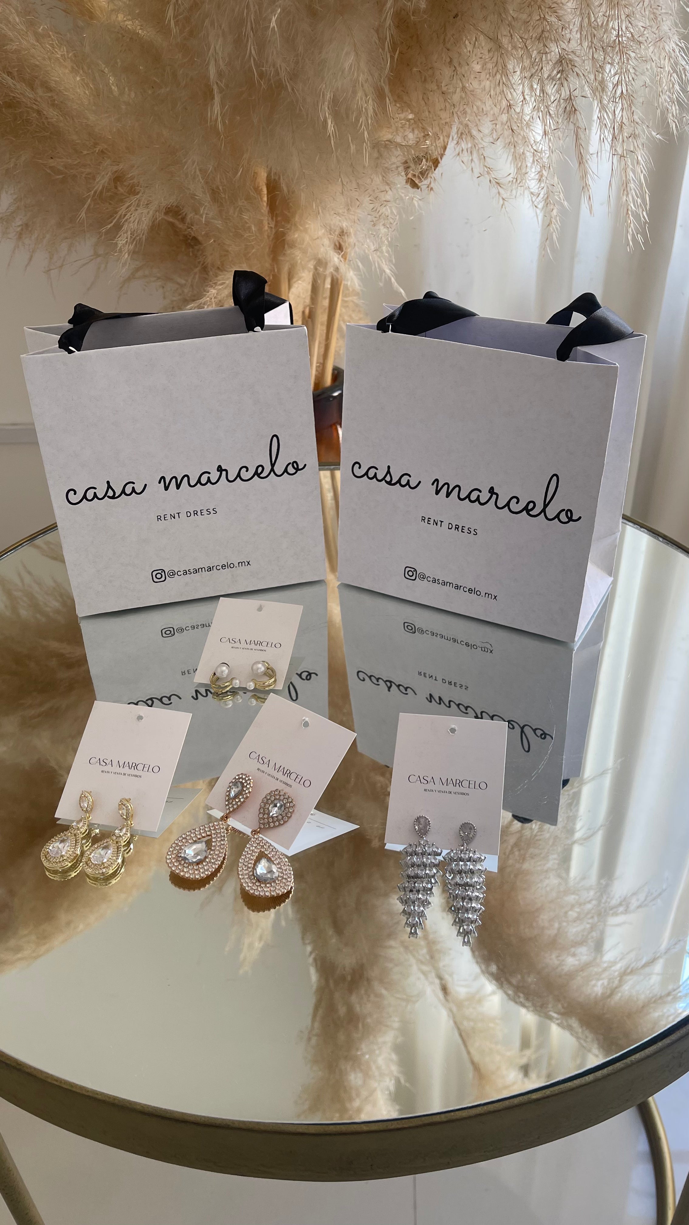 ✨ Aretes Brisa